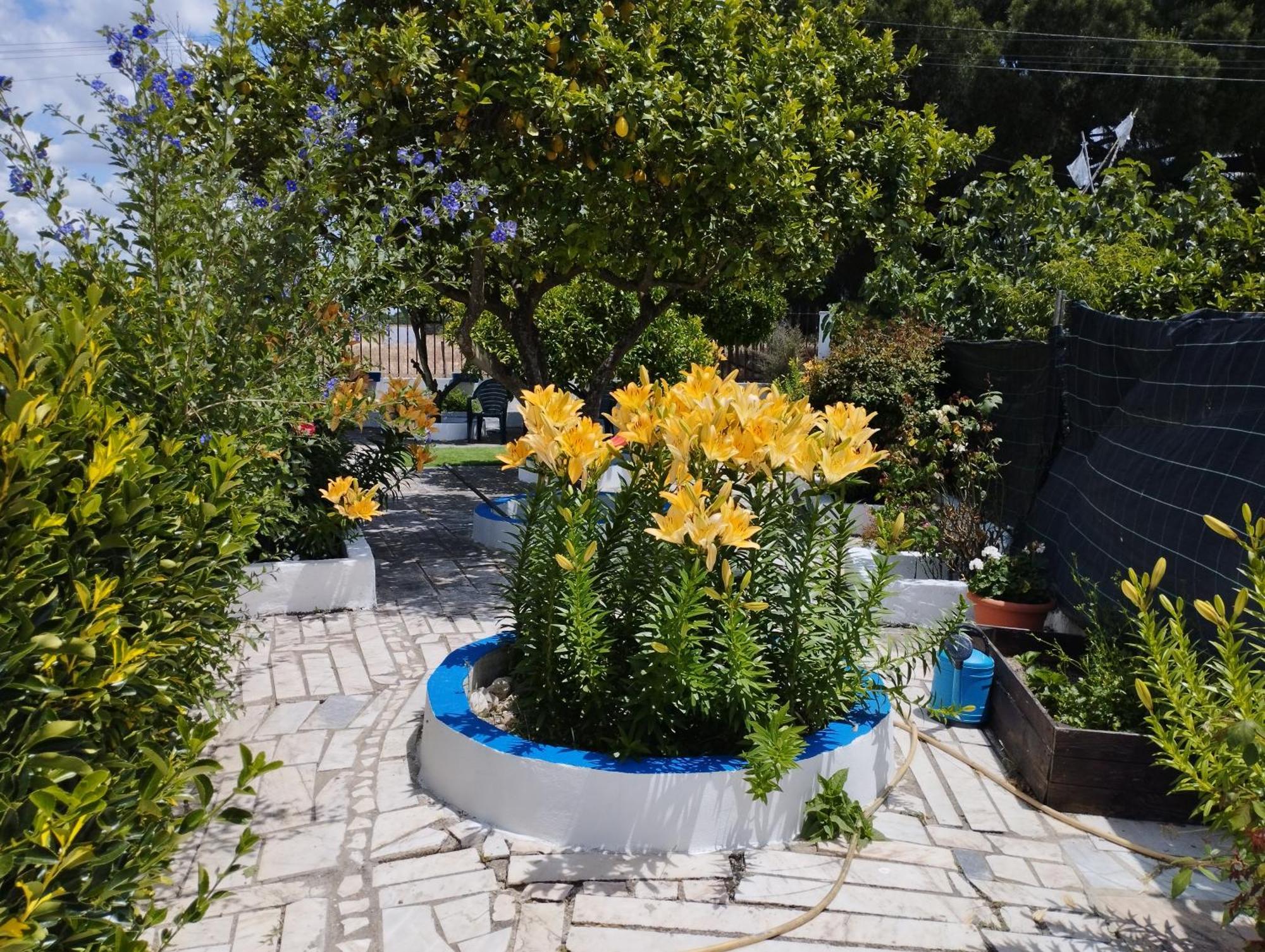 Villa Monte Sol Nascente Grândola Exterior foto